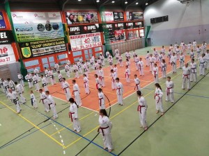 Taekwondo Toruń Działdowo (4)